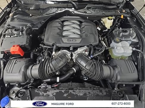 Used 2024 Ford Mustang GT Premium w/ California Special Package image 15