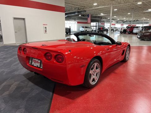 Used 1999 Chevrolet Corvette Convertible w/ Performance Handling Pkg image 3