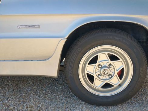 Used 1986 Alfa Romeo Spider Veloce image 14