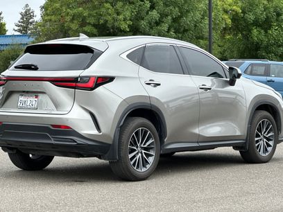 Certified 2025 Lexus NX 350 AWD w/ Cold Area Package
