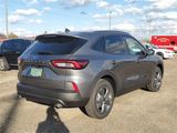 New 2025 Ford Escape ST-Line Elite image 5