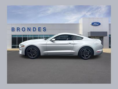 Used 2019 Ford Mustang Premium w/ Equipment Group 201A