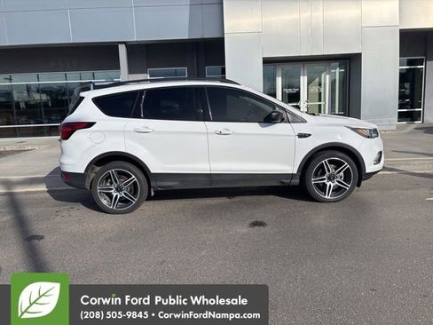Used 2019 Ford Escape SEL image 5