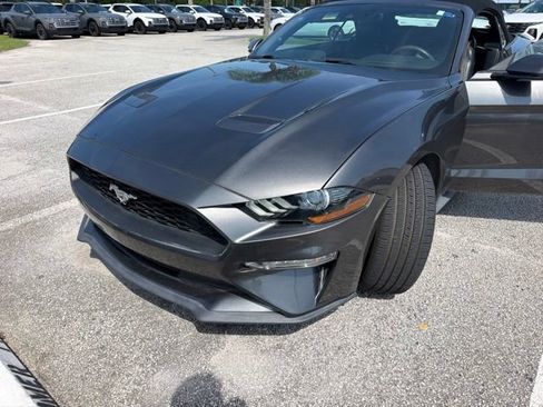 Used 2020 Ford Mustang Premium w/ Equipment Group 201A RWD image 1