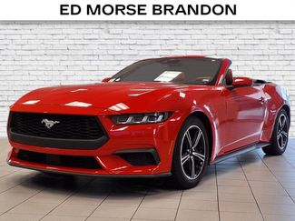 Used 2024 Ford Mustang Premium video 1