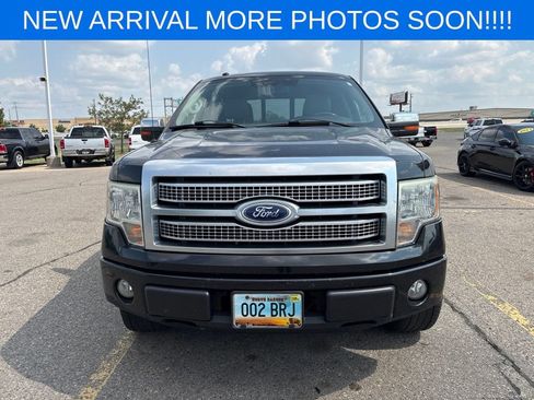 Used 2010 Ford F150 Platinum AWD/4WD image 2