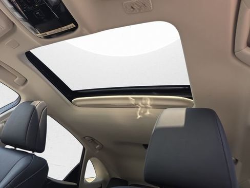 Certified 2024 Lexus NX 350h AWD w/ Cold Area Package image 29