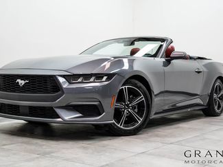 Used 2024 Ford Mustang Premium RWD video 1