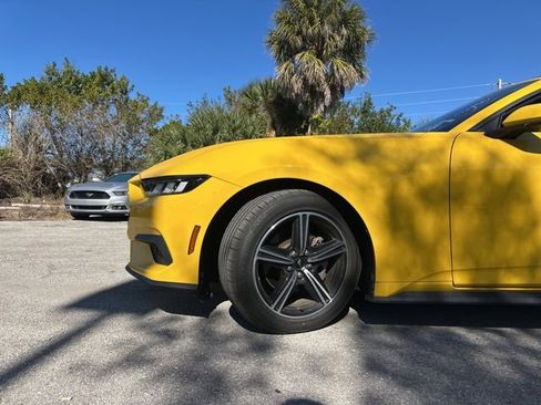 Used 2024 Ford Mustang Premium image 11