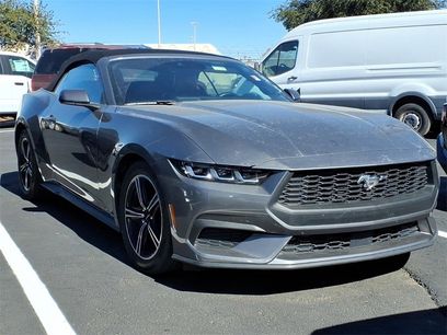 Used 2024 Ford Mustang Premium