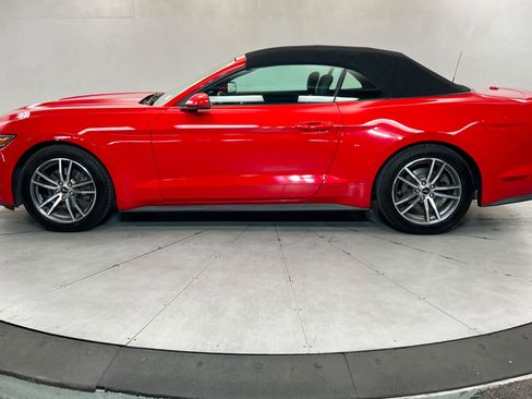 Used 2015 Ford Mustang Premium RWD image 2