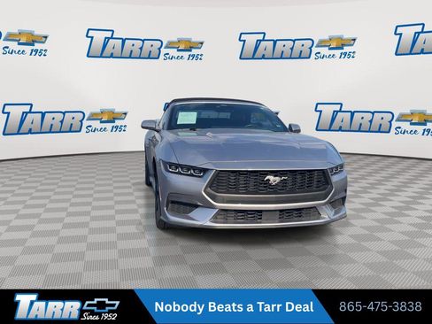 Used 2025 Ford Mustang Premium RWD image 3