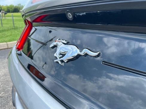 Used 2021 Ford Mustang Coupe RWD image 9