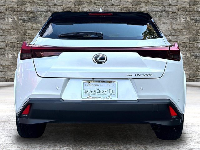 Used 2025 Lexus UX 300h AWD w/ Accessory Package (Z1) image 6