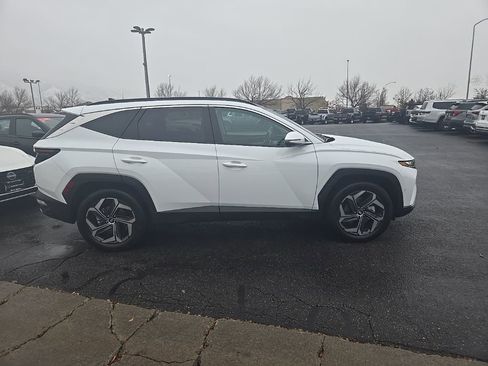 Used 2024 Hyundai Tucson Limited image 5