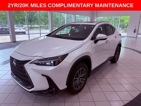 Used 2024 Lexus NX 250 FWD w/ Cold Area Package image 3