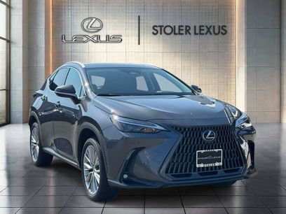 Used 2025 Lexus NX 350 AWD w/ Cold Area Package