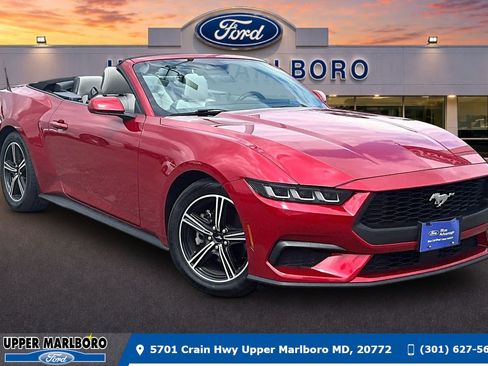 Certified 2024 Ford Mustang Premium RWD image 1