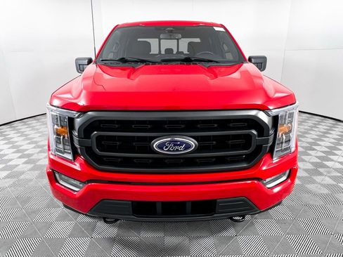 Used 2023 Ford F150 XLT w/ Equipment Group 302A High image 2