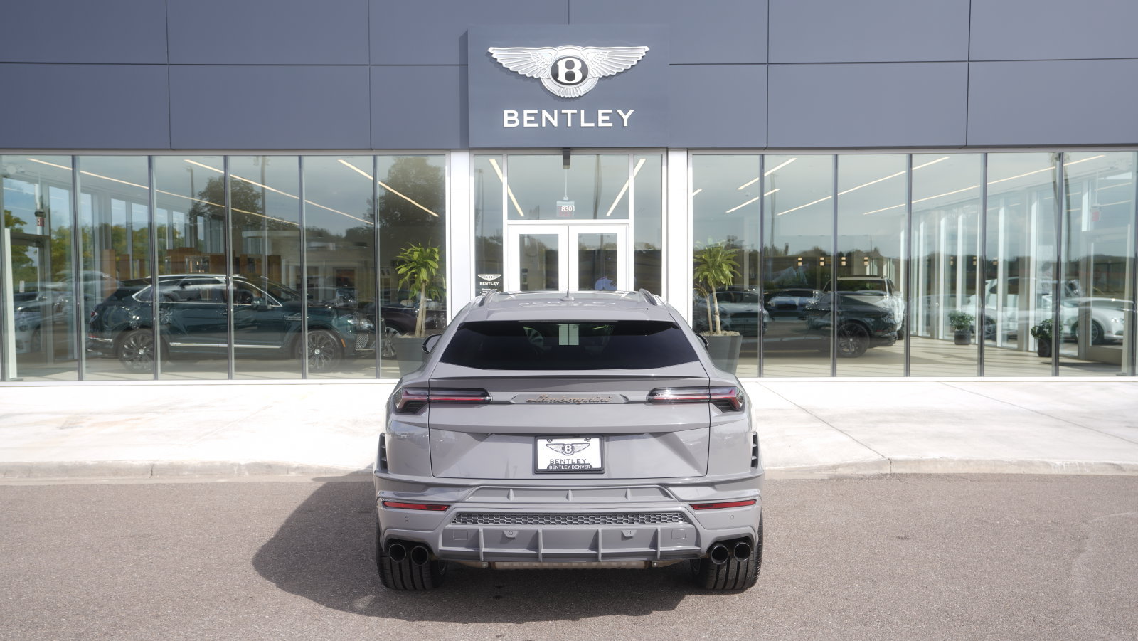 Used 2024 Lamborghini Urus S AWD/4WD image 13