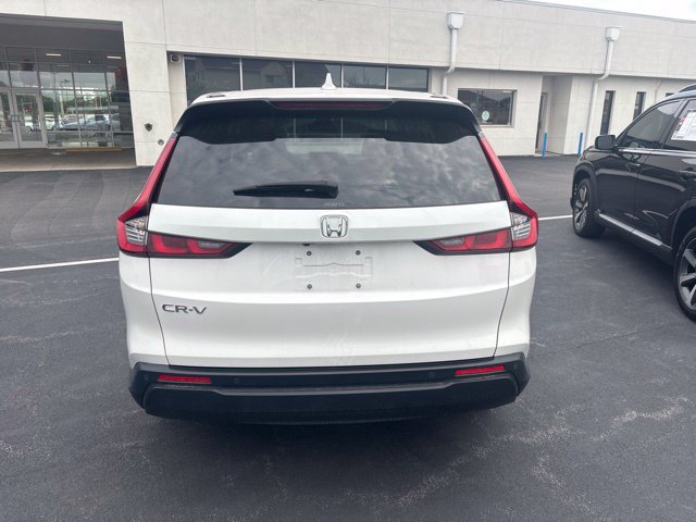 Used 2025 Honda CR-V EX-L image 8