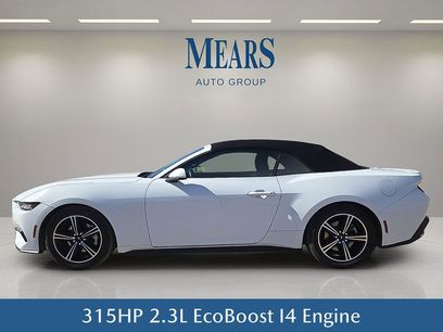 Used 2024 Ford Mustang Premium