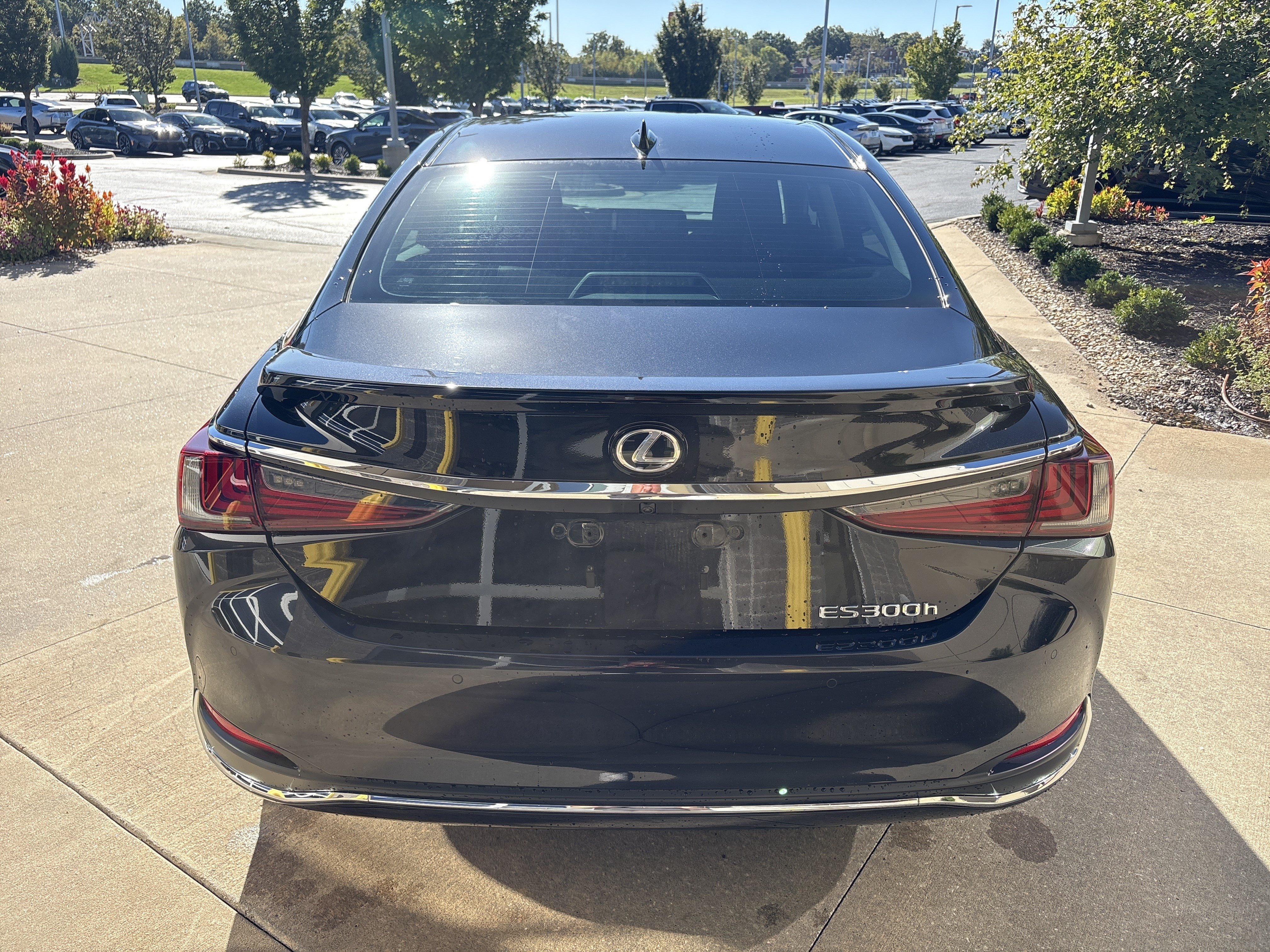 Used 2025 Lexus ES 300h w/ Premium Package FWD image 29