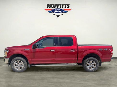 Used 2019 Ford F150 XLT w/ Equipment Group 302A Luxury AWD/4WD image 2