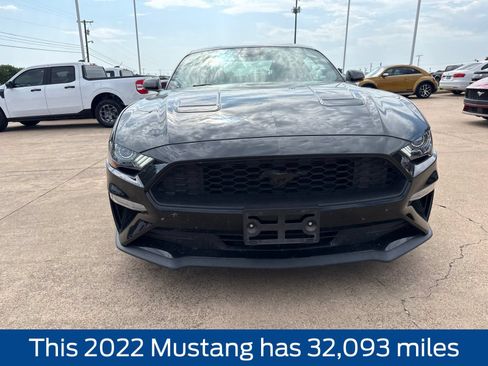 Used 2022 Ford Mustang Premium w/ Equipment Group 201A RWD image 2