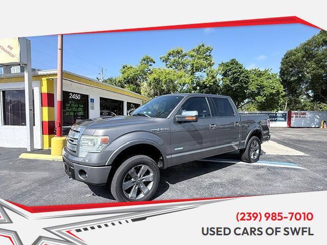 Used 2014 Ford F150 Platinum AWD/4WD image 1