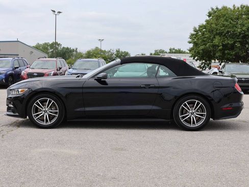 Used 2016 Ford Mustang Premium RWD image 8
