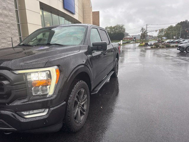 Used 2021 Ford F150 XLT w/ Equipment Group 302A High AWD/4WD image 1