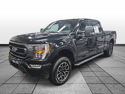 Used 2023 Ford F150 XLT w/ Equipment Group 302A High