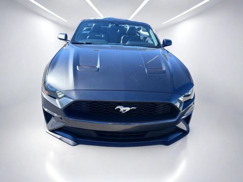 Used 2018 Ford Mustang Premium w/ Equipment Group 201A RWD image 3