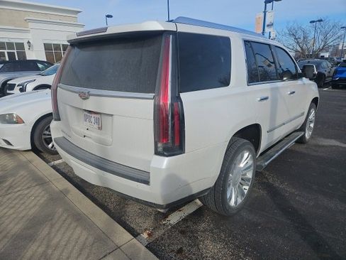 Used 2019 Cadillac Escalade Platinum image 5