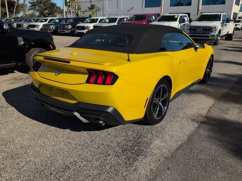 Certified 2024 Ford Mustang Premium image 3