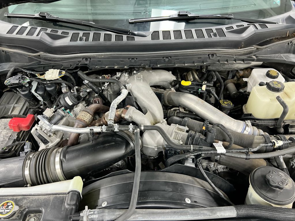 Used 2024 Ford F350 XL AWD/4WD image 18