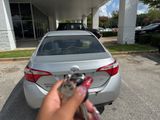 Used 2014 Toyota Corolla LE image 3