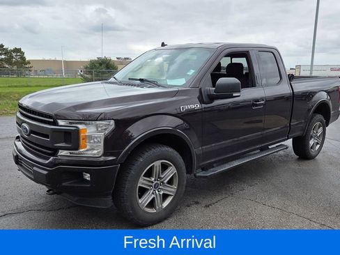 Used 2019 Ford F150 XLT w/ Equipment Group 302A Luxury AWD/4WD image 3