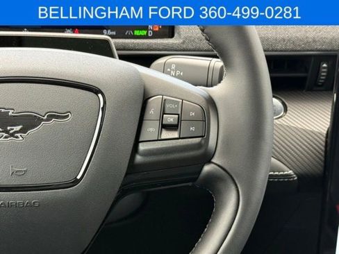 New 2025 Ford Mustang Mach-E Premium w/ Interior Protection Package image 24