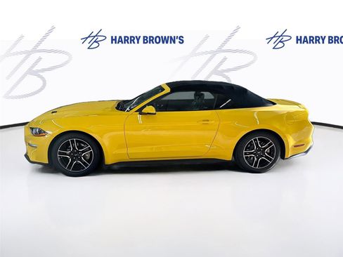 Used 2018 Ford Mustang Premium w/ Equipment Group 201A RWD image 8