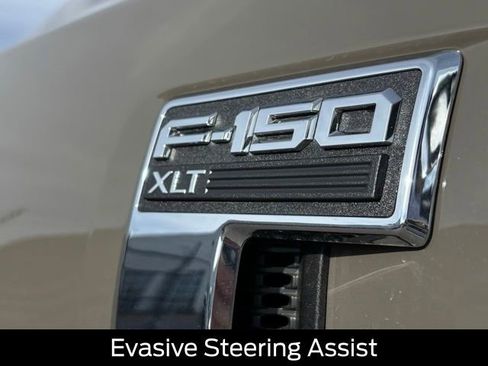 New 2025 Ford F150 XLT w/ Equipment Group 302A MID image 20