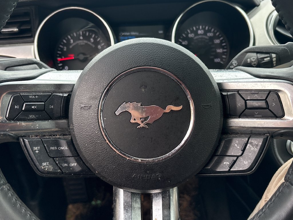 Certified 2018 Ford Mustang Premium RWD image 4