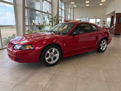 Used 2001 Ford Mustang Cobra
