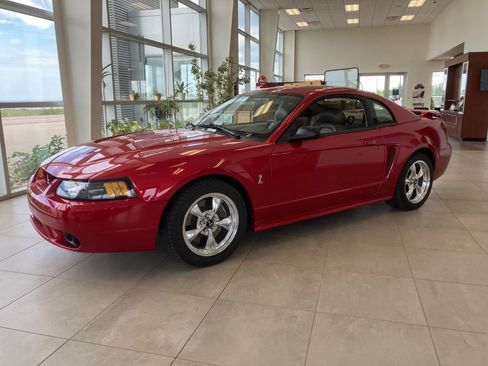 Used 2001 Ford Mustang Cobra RWD image 1