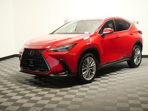 Certified 2025 Lexus NX 350 AWD w/ Cold Area Package image 4