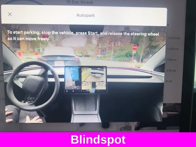 Used 2021 Tesla Model 3 Performance AWD/4WD image 5