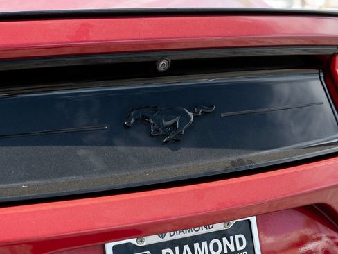 Used 2021 Ford Mustang Premium w/ Equipment Group 201A RWD image 12