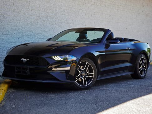 Used 2023 Ford Mustang Premium w/ Equipment Group 201A RWD image 2