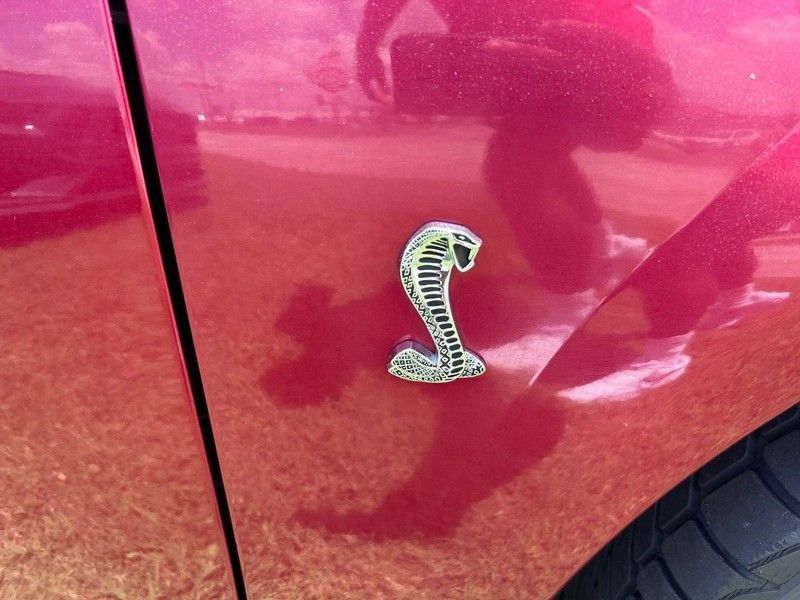 Used 2004 Ford Mustang Cobra RWD image 4
